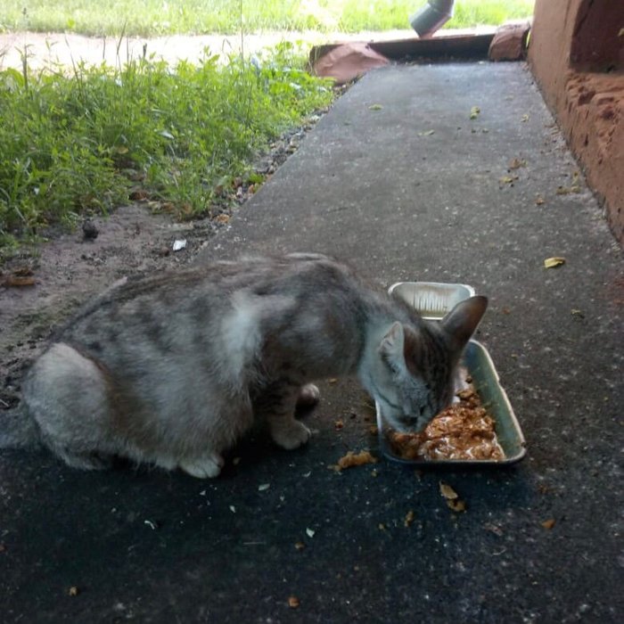 1638378030183335248 Можно я тебя потрогаю там