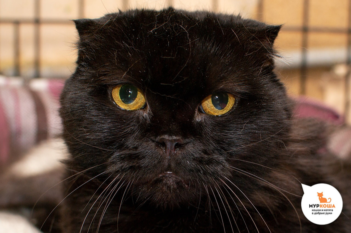 1638378384159599436 Можно я тебя потрогаю там