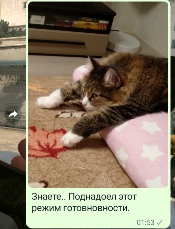 ����� ����������... ��� �������������?