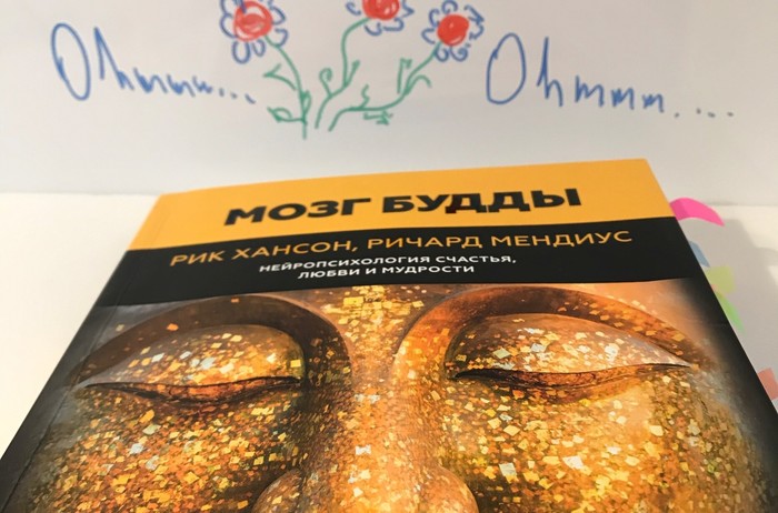 На пути к мозгу Будды