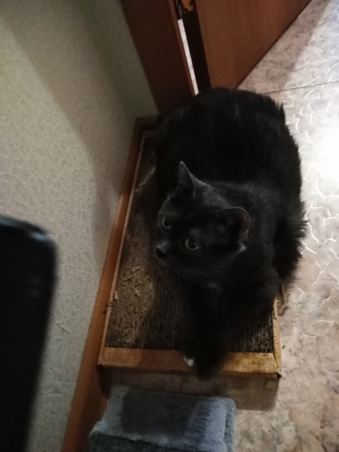 Сегодня 20 лет!