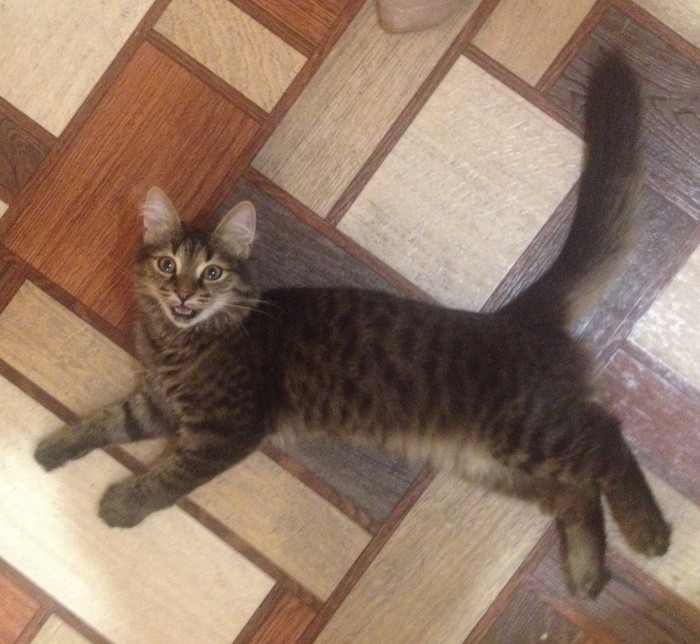 Про короновирусный опыт моей семьи