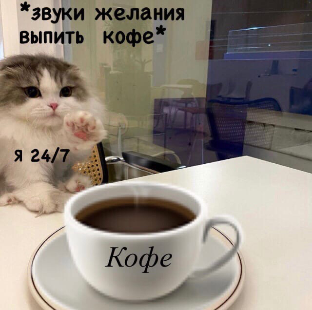 ������ �����