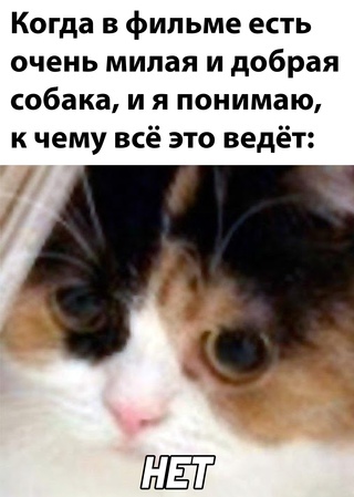       ,  , ,   , , 