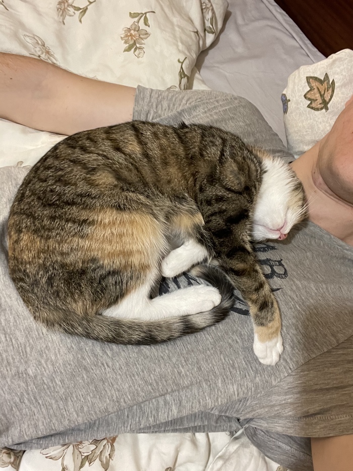 Продолжение поста «Любимое чудо)»