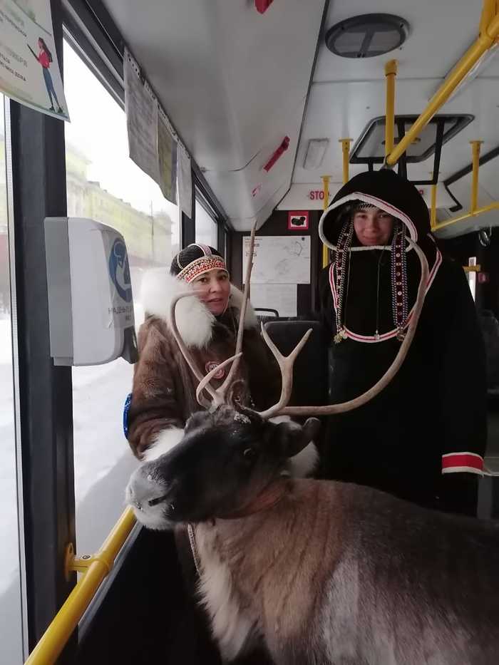 Типичный Норильск и его жители)