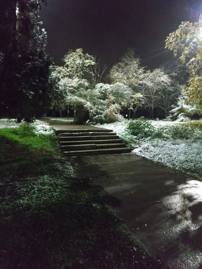 �� ���� �����