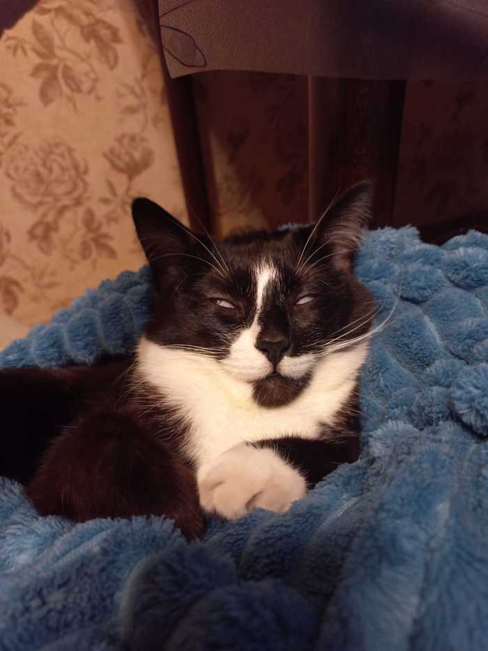 ��� ������� � �������� ���� ��������� ������� ������)