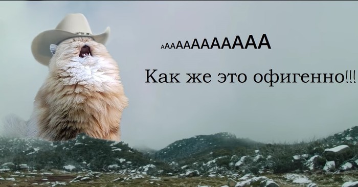 Что такое code org. Смотреть фото Что такое code org. Смотреть картинку Что такое code org. Картинка про Что такое code org. Фото Что такое code org