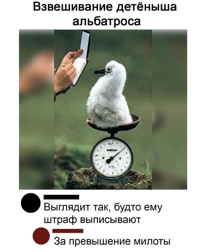  , , , 