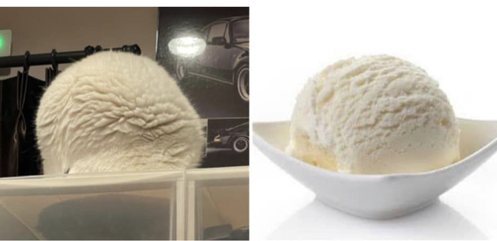 Обнаружен шарик мороженого весом 5 кило