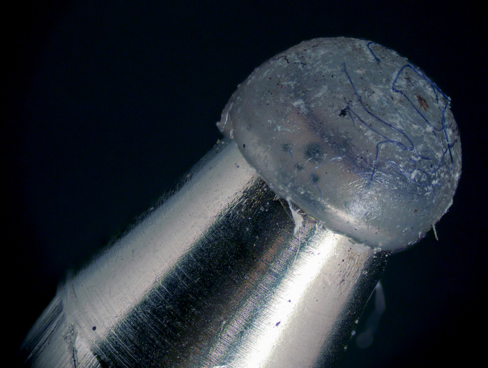 1638692677153118980 Как выглядит помидор под микроскопом