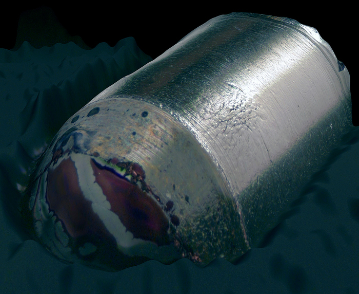 1638692775145148230 Как выглядит помидор под микроскопом