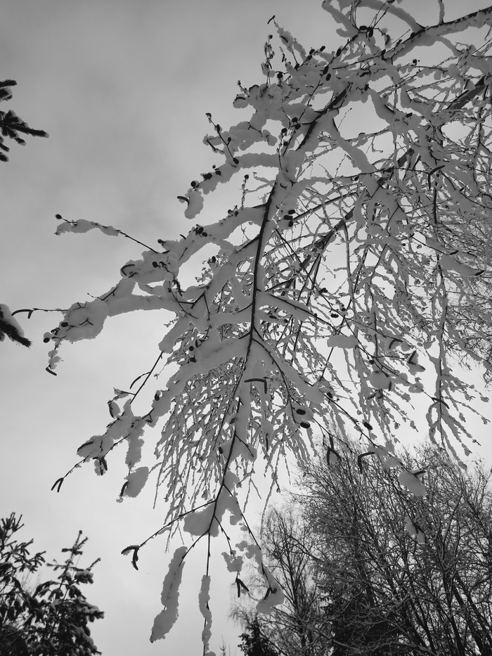 Зима пришла