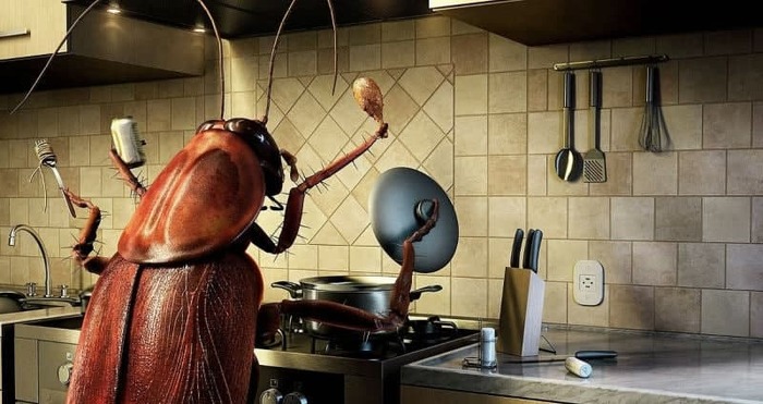 �������� ��� ������ �����