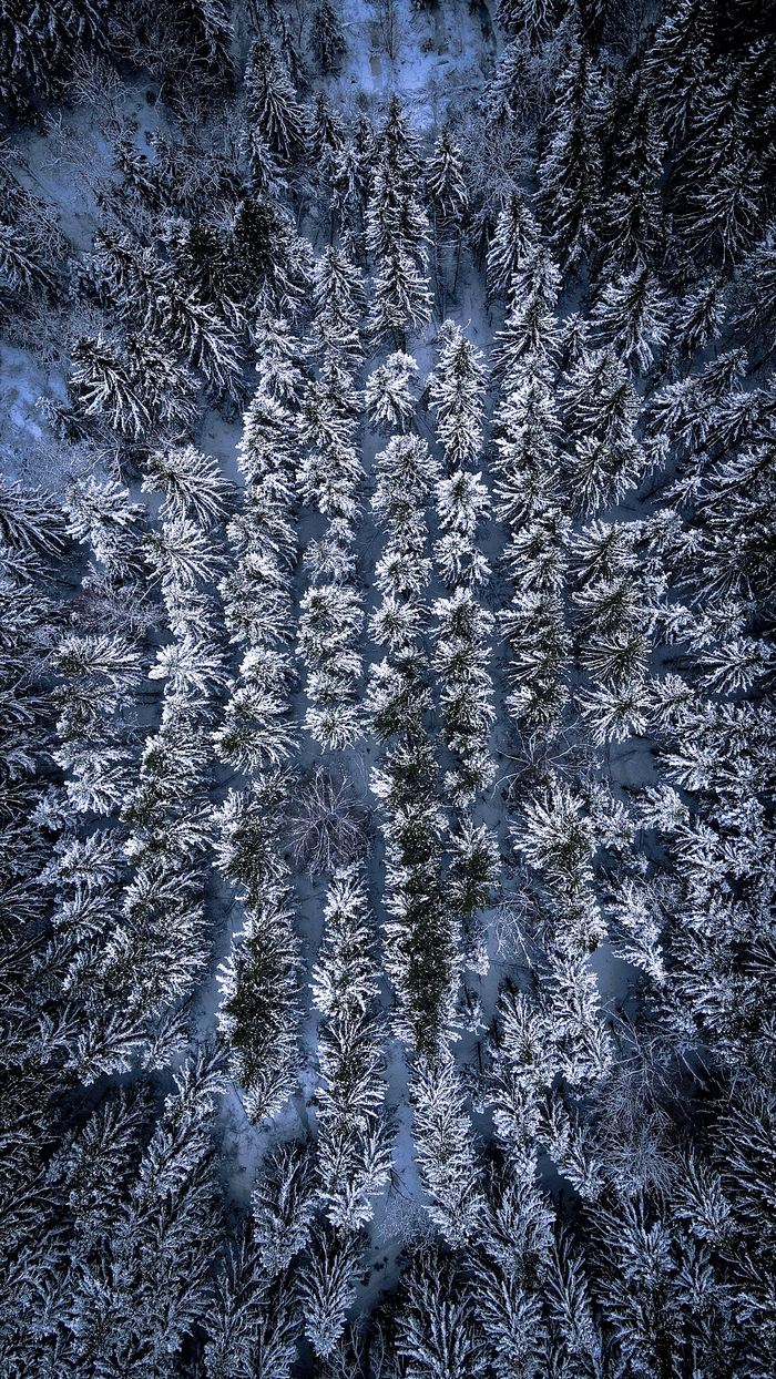 ������ ���