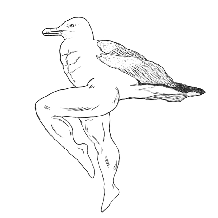 ��������