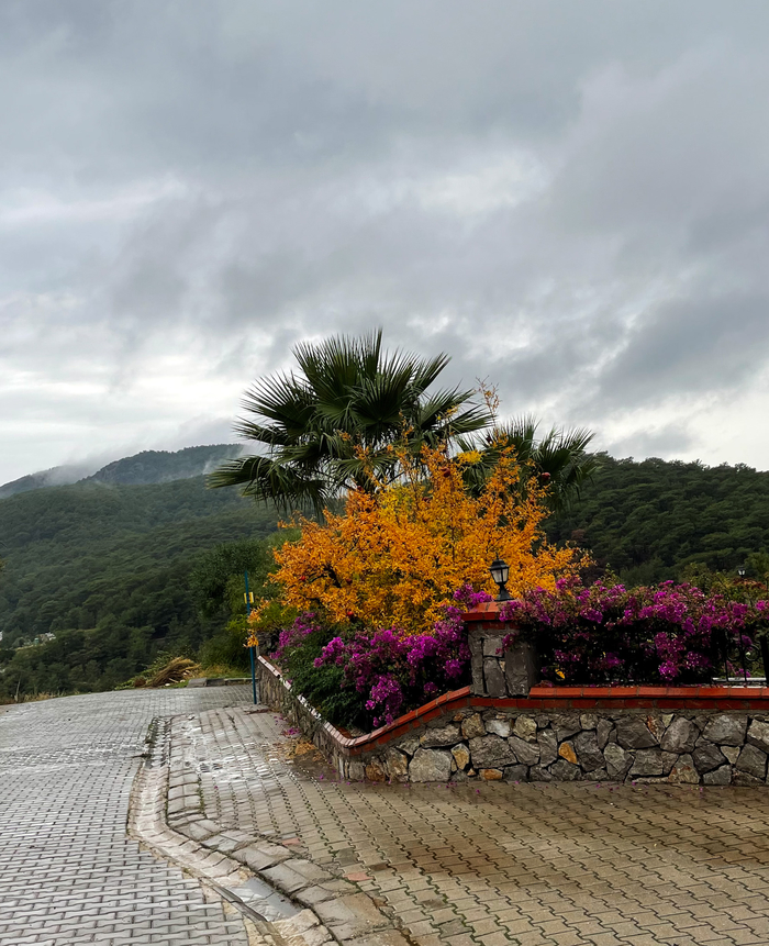 Турецкий декабрь