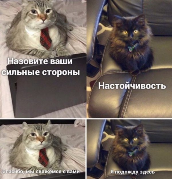 Что написал харди на спине тессы. Смотреть фото Что написал харди на спине тессы. Смотреть картинку Что написал харди на спине тессы. Картинка про Что написал харди на спине тессы. Фото Что написал харди на спине тессы