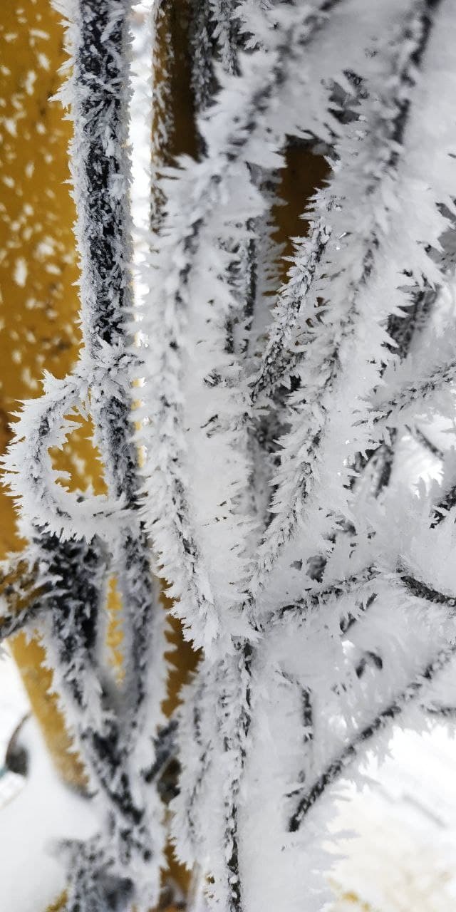 1638797493179698849 Как падает башенный кран видео