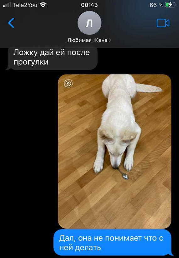 Муж программист