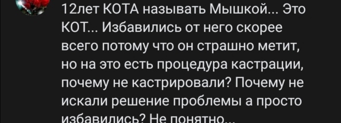 Выбросила кошку на улицу мучает совесть что делать. Смотреть фото Выбросила кошку на улицу мучает совесть что делать. Смотреть картинку Выбросила кошку на улицу мучает совесть что делать. Картинка про Выбросила кошку на улицу мучает совесть что делать. Фото Выбросила кошку на улицу мучает совесть что делать