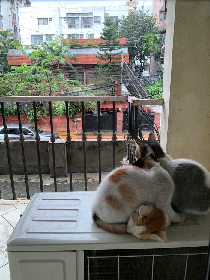 ������ � ��������� ���������