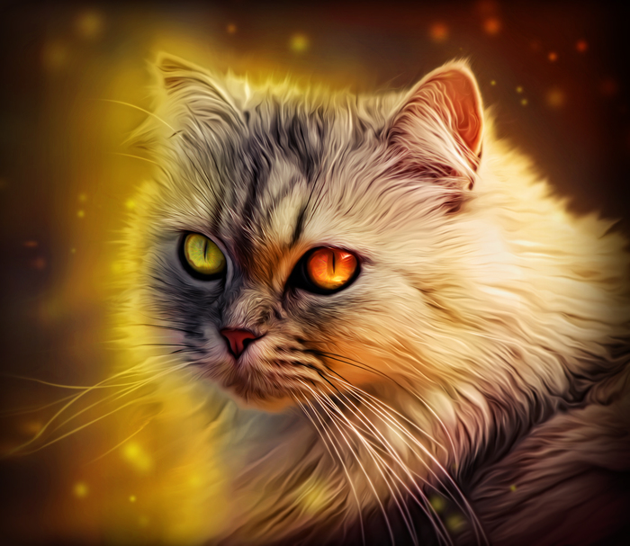  Photoshop, , 