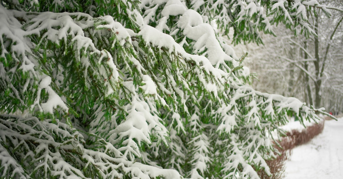 Хадис про зиму. Чайник снег ночь. Зима легкая добыча для верующего. Зима ислам. Пост зимой легкая добыча.