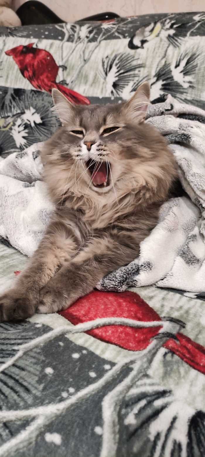 ����� ������