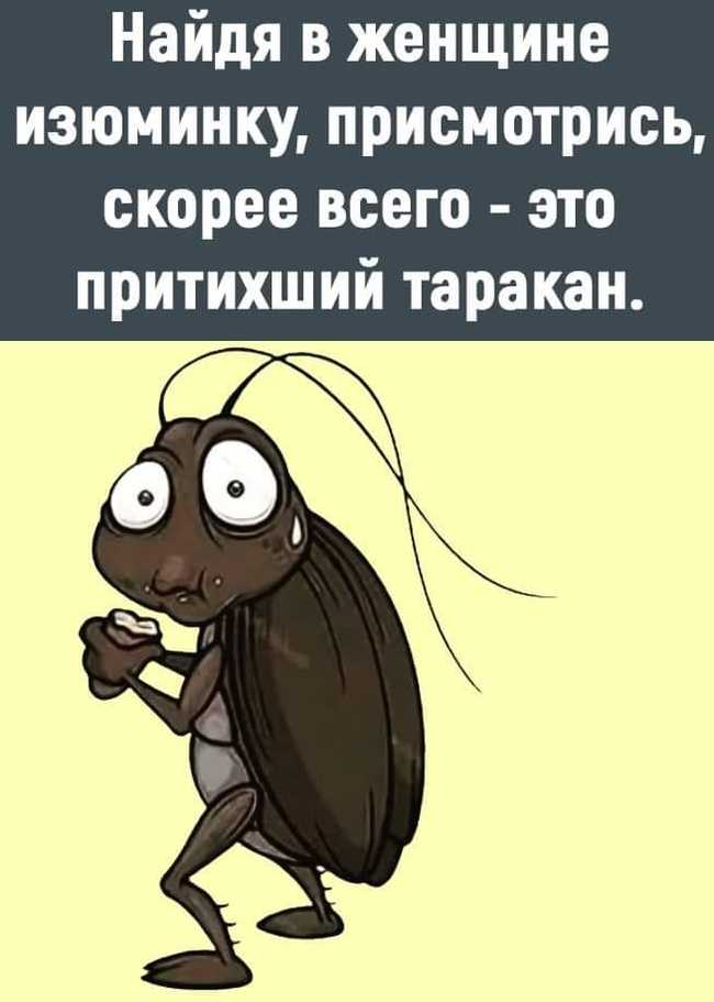 Маскировка