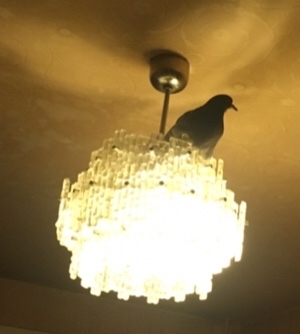 ������ ������������