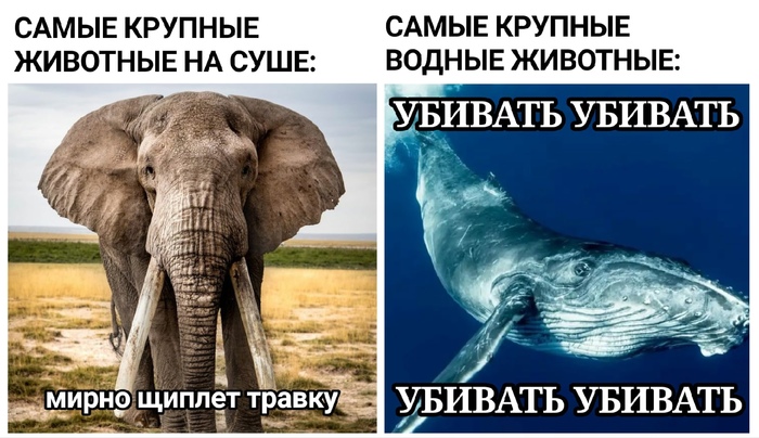 ��������� ������� �����