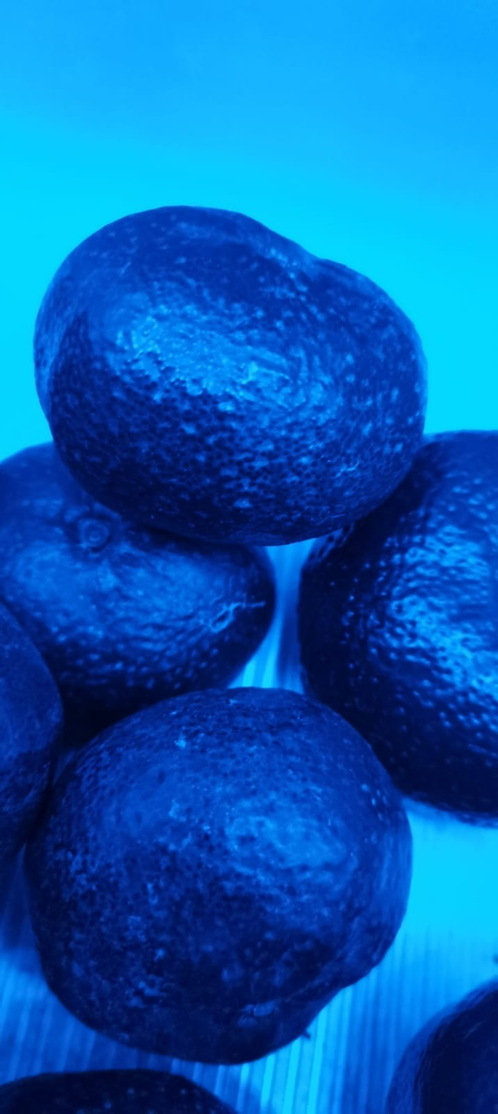 ����������� ����������