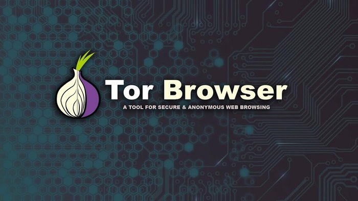 В России заблокировали Tor IT, Безопасность, Блокировка, Обход блокировок, Тор, Роскомнадзор