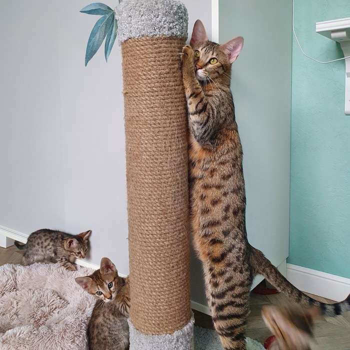 - Они ведь меня не видят, правда?