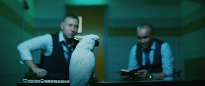 Попугай велел дрочить: в Сети появились забавные ролики из фильма «16-й»