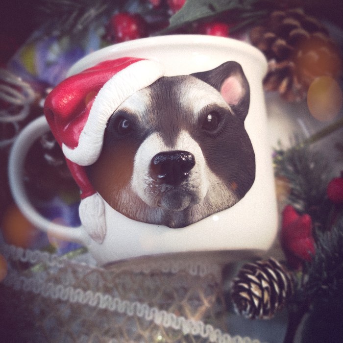 ������ ����