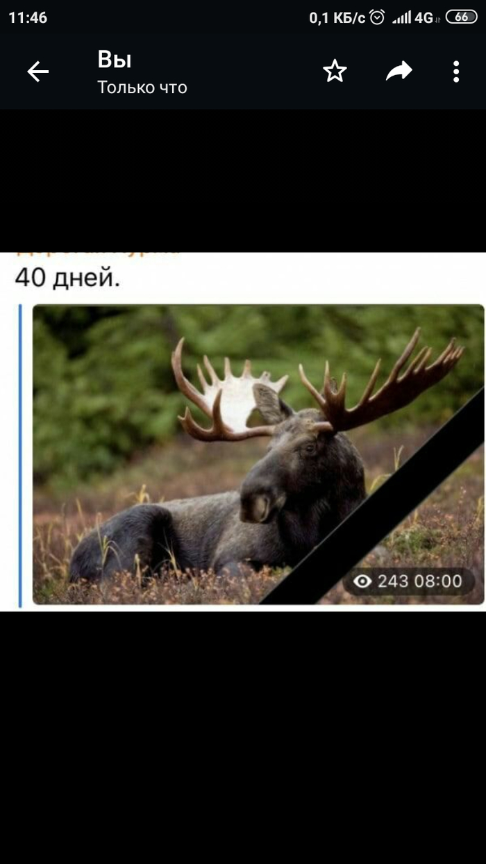 40 дней