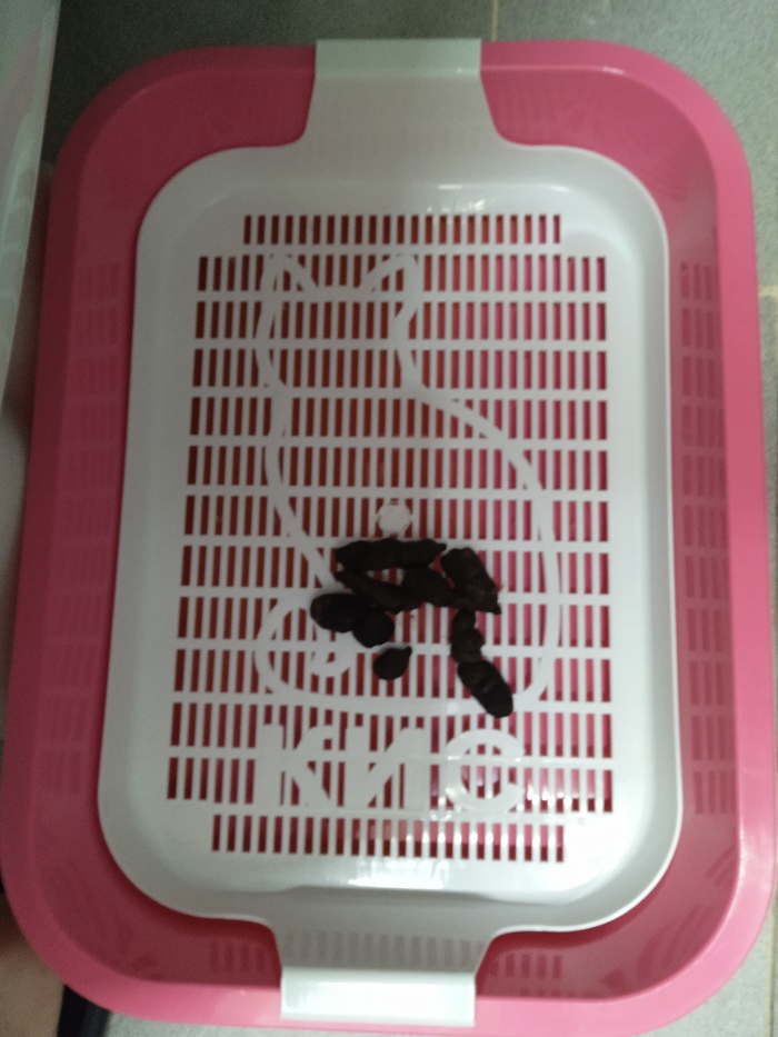 И снова викторина