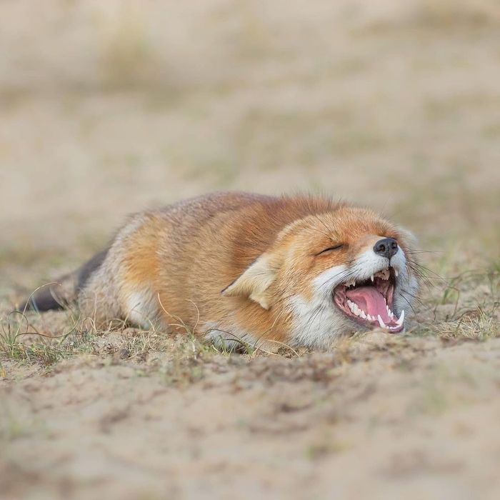    , , , 