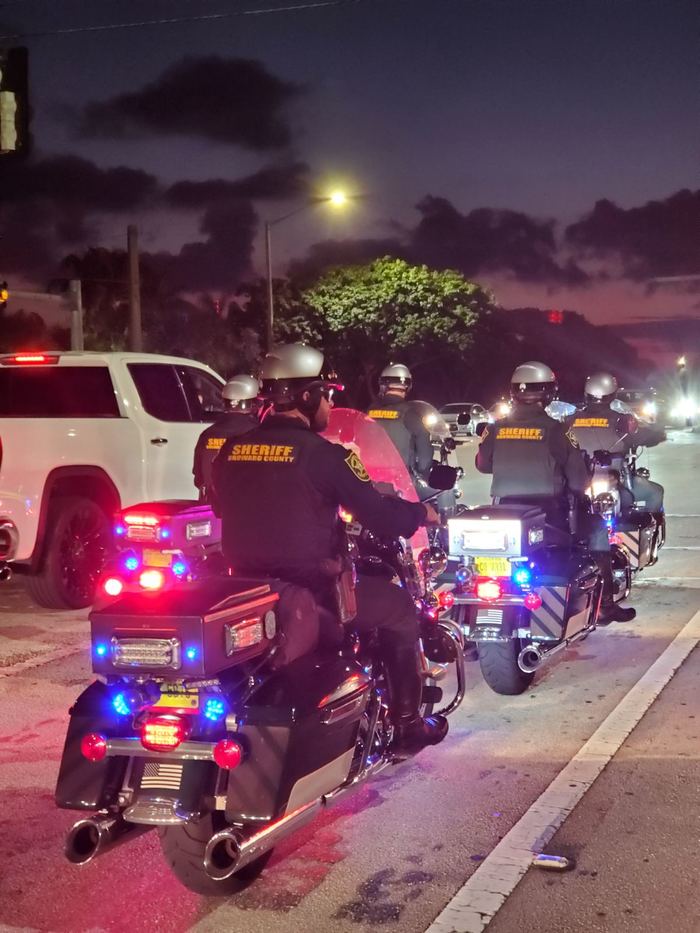 Американские городовые | Пикабу