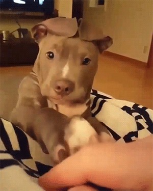      , , , 