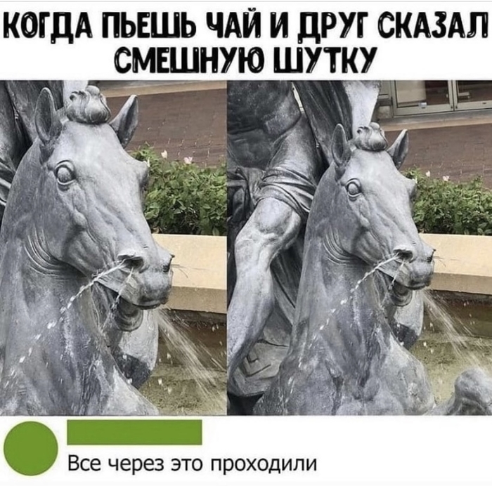 Лошадь на крыше потому что мем. Смотреть фото Лошадь на крыше потому что мем. Смотреть картинку Лошадь на крыше потому что мем. Картинка про Лошадь на крыше потому что мем. Фото Лошадь на крыше потому что мем