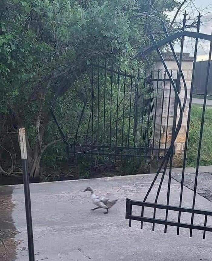 ! , , 