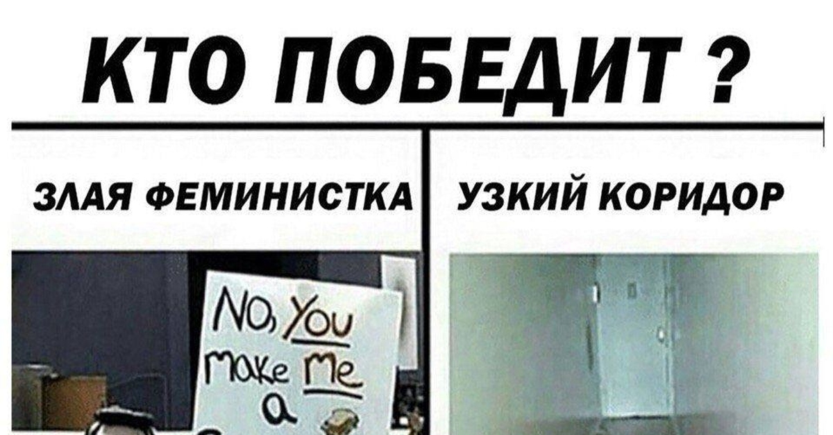 Вот бы разум, вот бы разум!! | Пикабу