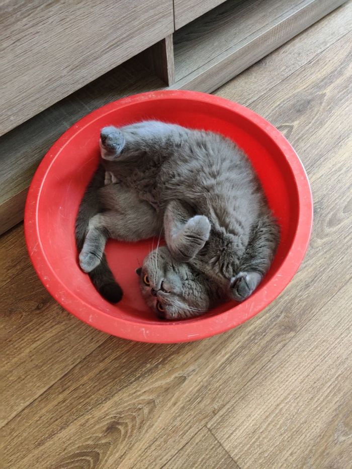    ,  , , 