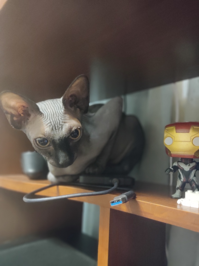 ��� ��������