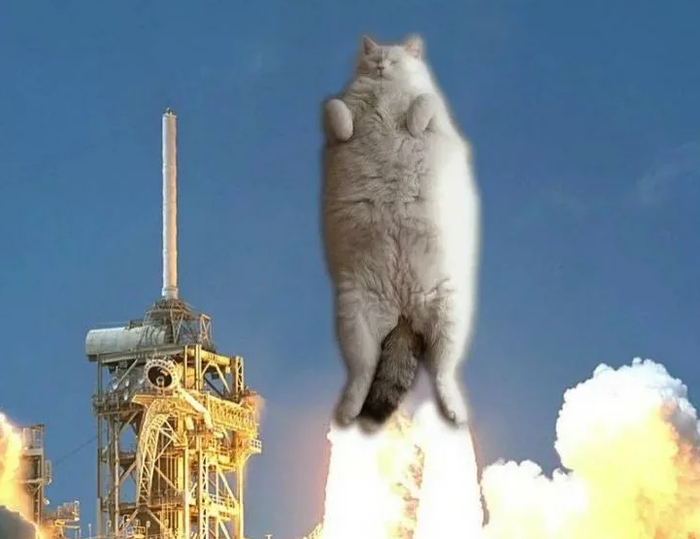     ,        , , , 