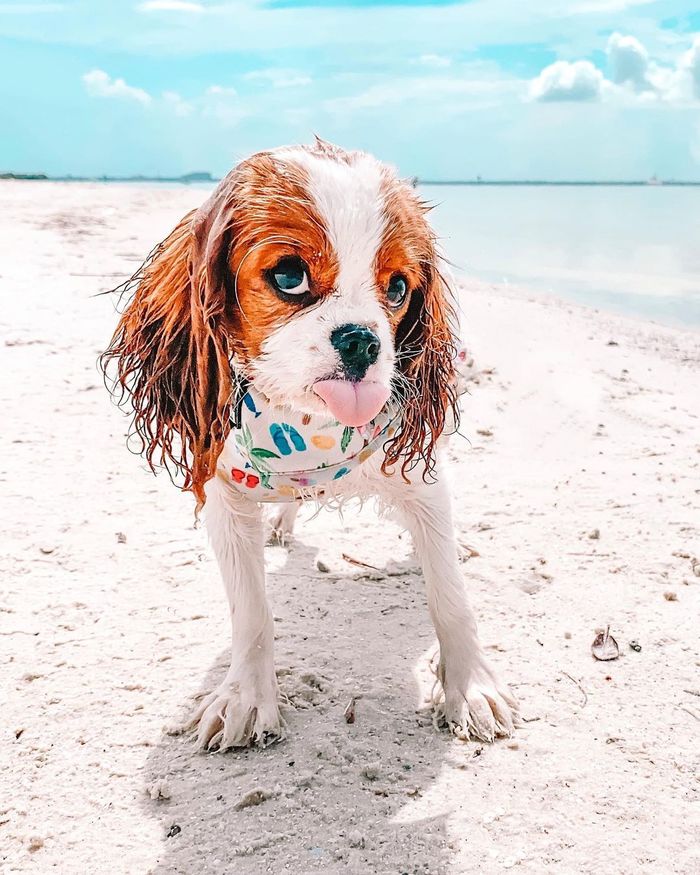 ����� ������� ���������� ���� �� ������� �� ����� �������� ���